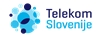 Telekom Slovenije, d. d.